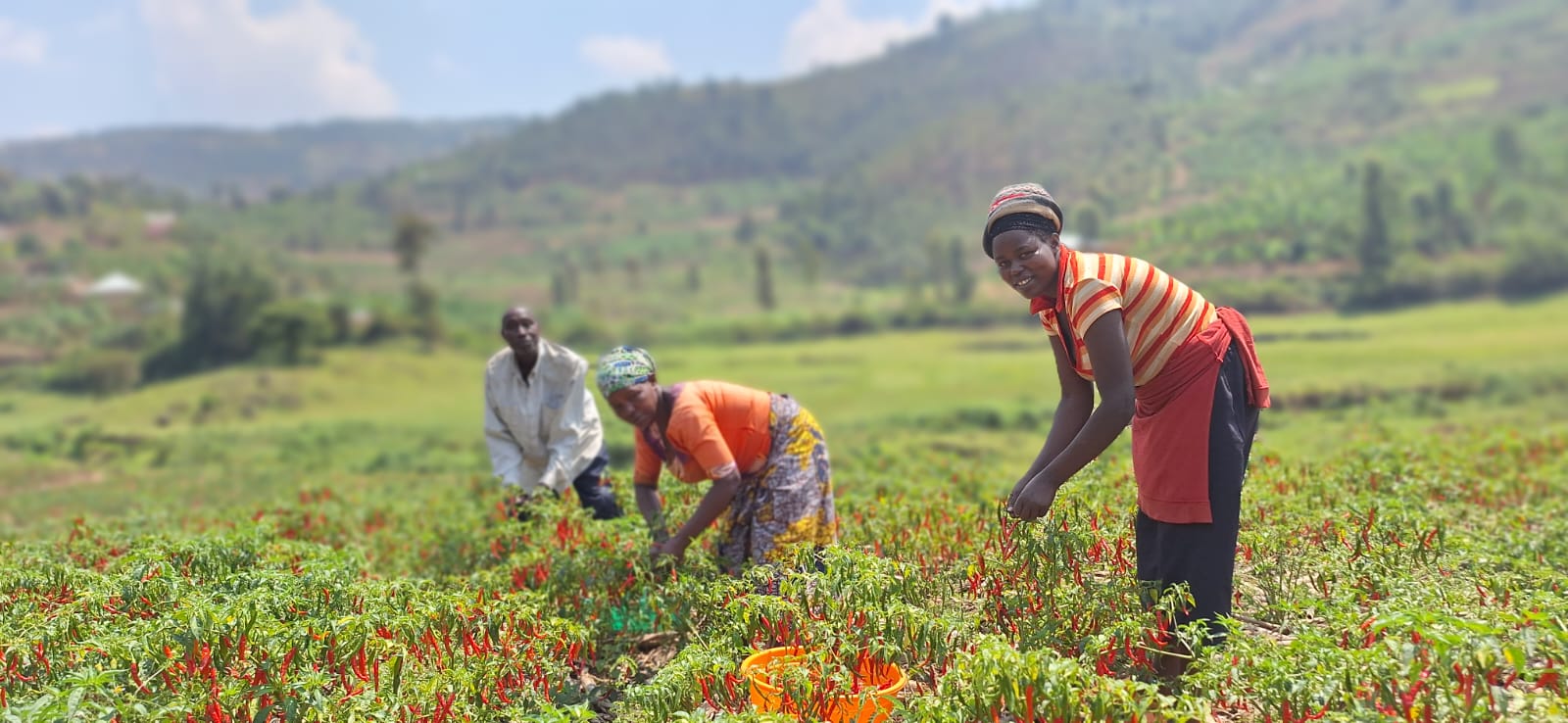 Farmers In Rwanda A better future for 3,000 farmers | MissionInvest